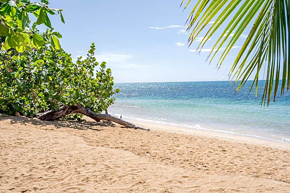 Xeliter Balcones del Atlantico