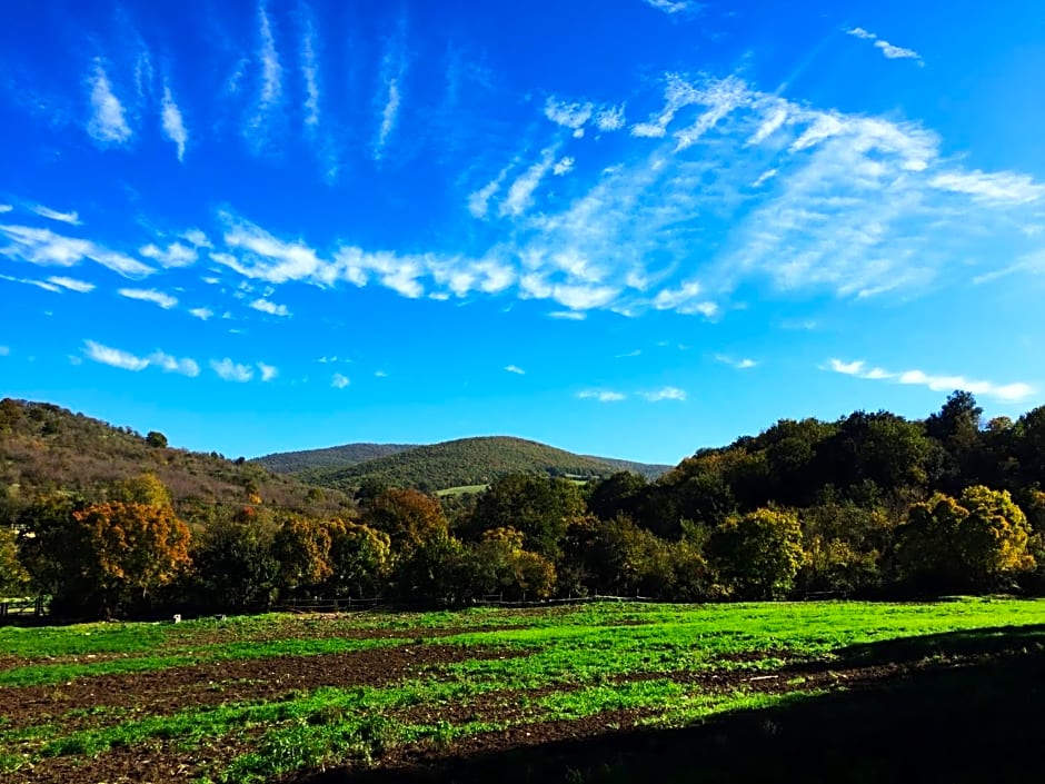 La dimora degli Etruschi