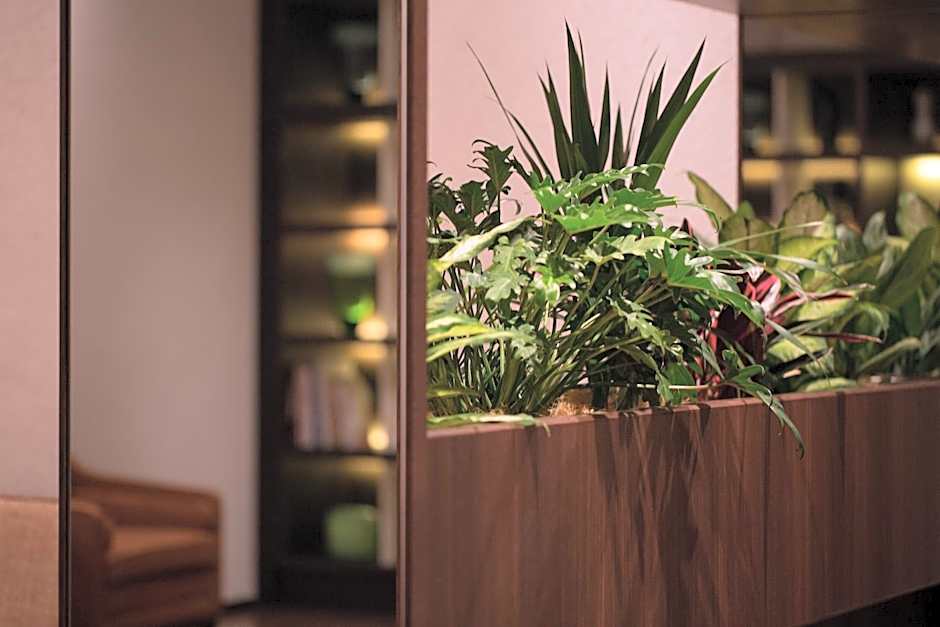 HOTEL FORZA HAKATAEKI CHIKUSHI-GUCHI Ⅰ