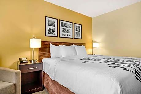 King Suite with Sofa Bed - Non-Smoking