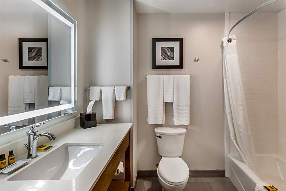 Best Western Plus Rapid City Rushmore