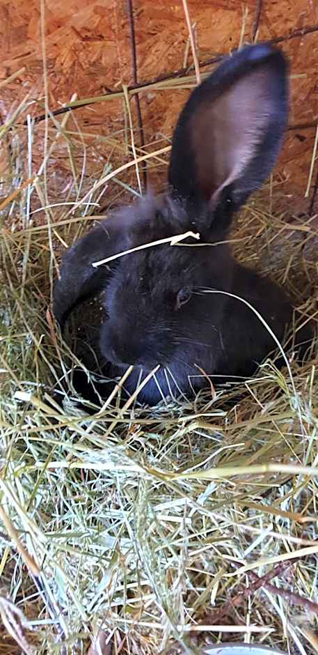 nawu apartments & Restaurant