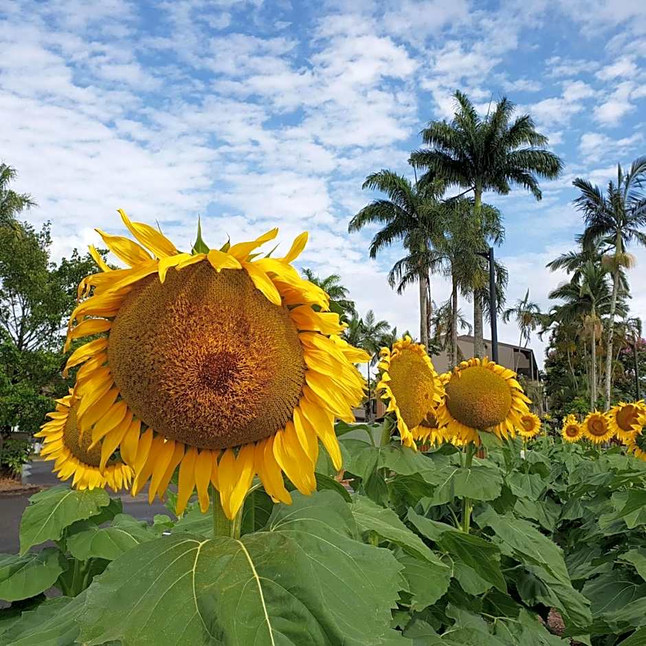 Palm Royale Cairns Resort