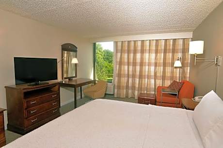 King Room with King Bed - Non-Smoking