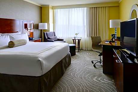 Room, 1 King Bed