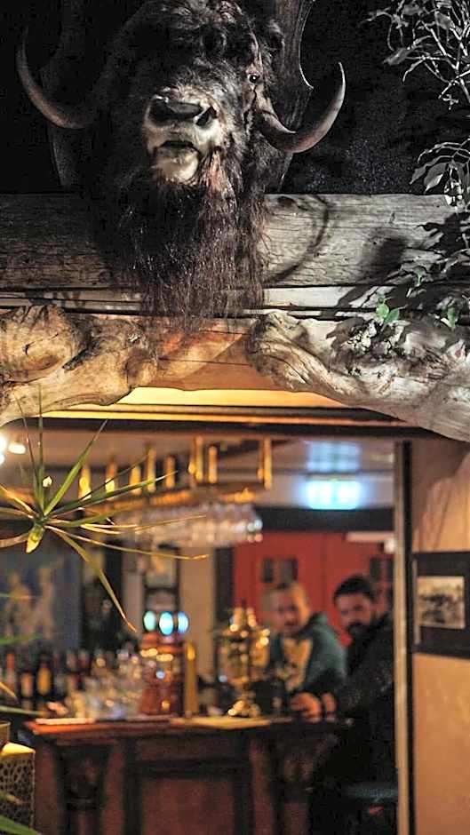 Mary-Ann's Polarrigg