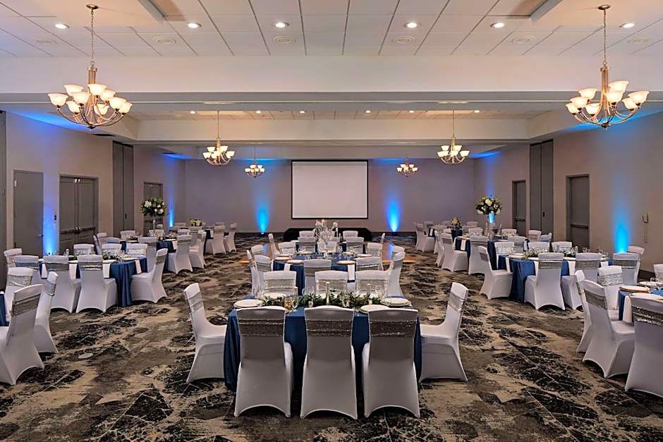 Hilton Garden Inn Dfw Airport South