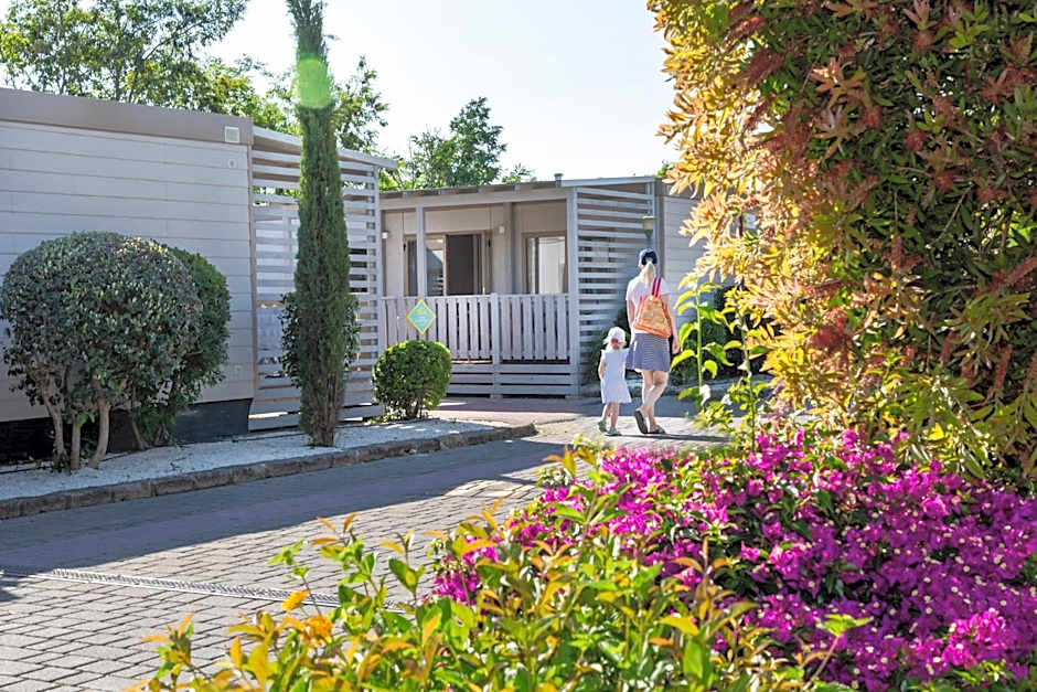 Roma Camping in Town