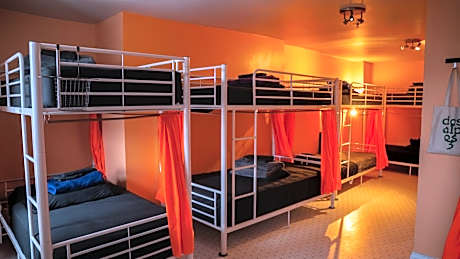 Bed in 10-Bed Mixed Dormitory Room