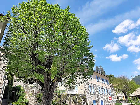 Le Sareymond