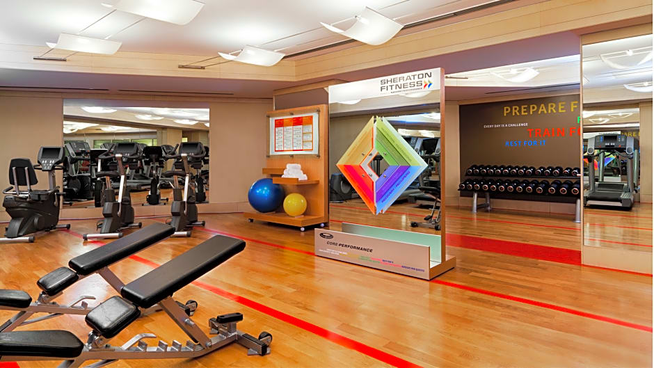 Cardo Roma, Autograph Collection