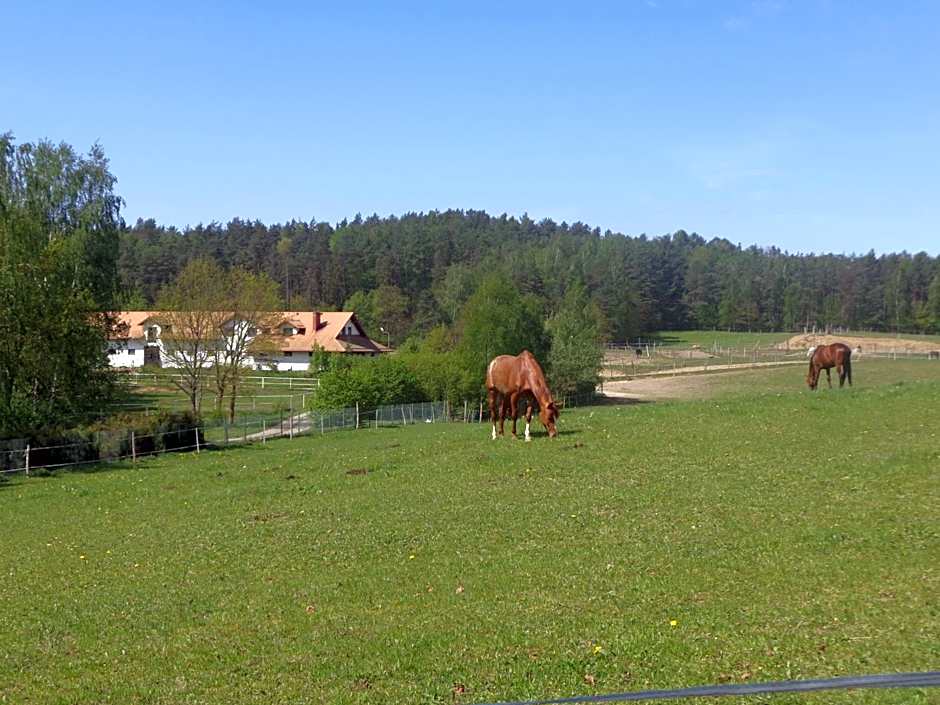 Sakowcówka - Agroturystyka , stajnia