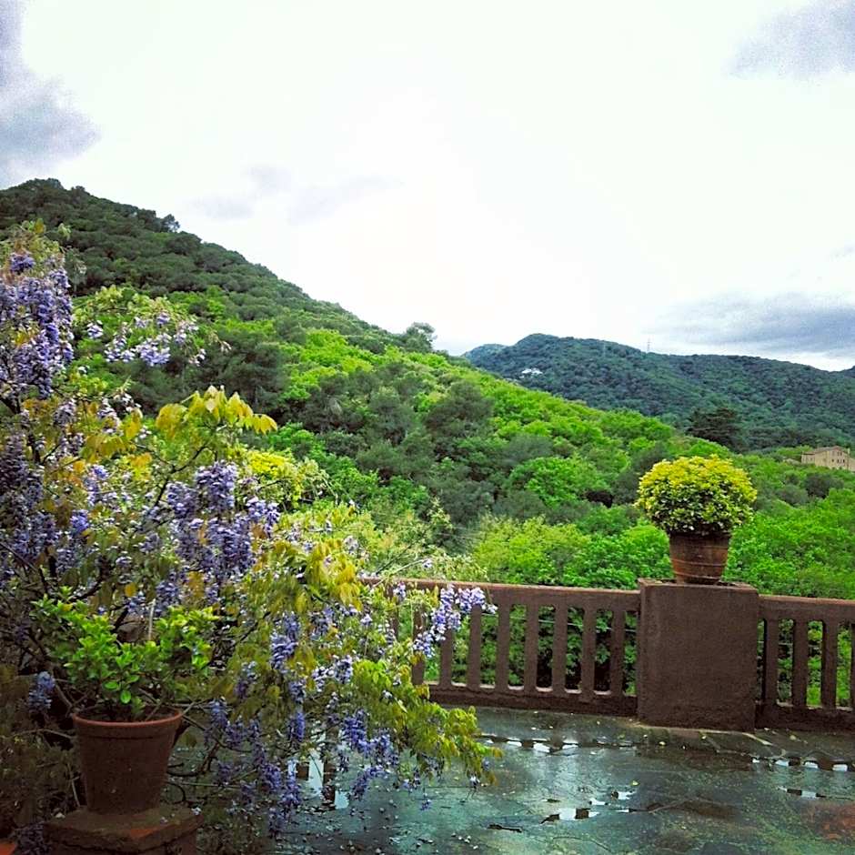 Masia Vista Hermosa