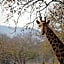 Kilima Private Game Reserve & Spa