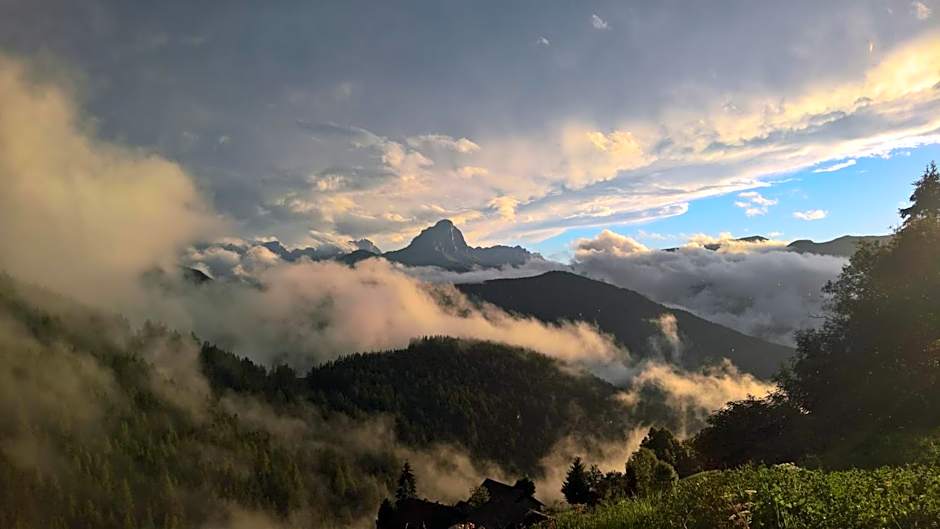 Alpine Hotel Gran Foda'