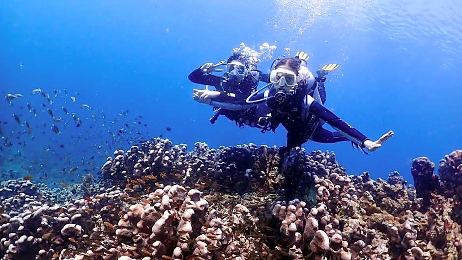 PamAnilao and Padoy's Dive Camp