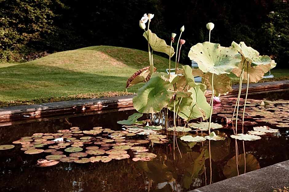 La Dime de Giverny - Chambres d'hôtes-Spa-Restaurant