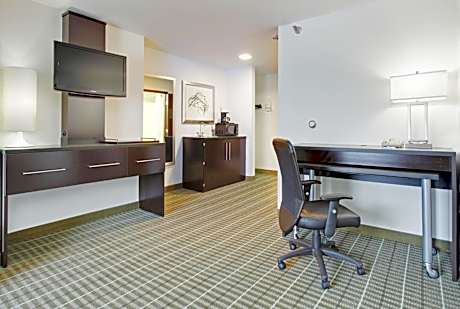 One-Bedroom King Suite with Sofa Bed