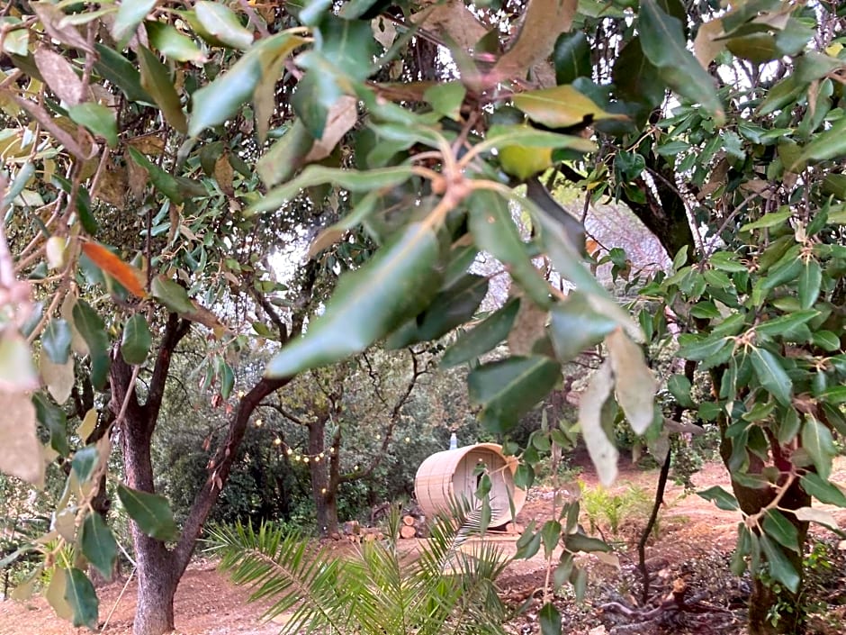 Les Horizons - SPA-JACUZZI - MASSAGE- SAUNA - 4 SAISONS - Piscine chauffée Toute l'année - 800m centre ville Nyons