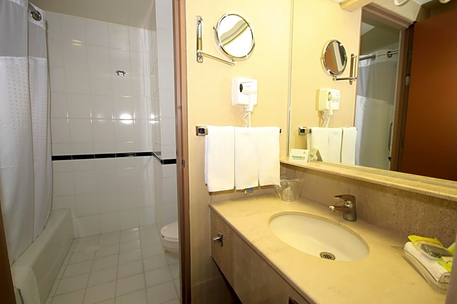 Holiday Inn Leon-Convention Center By IHG