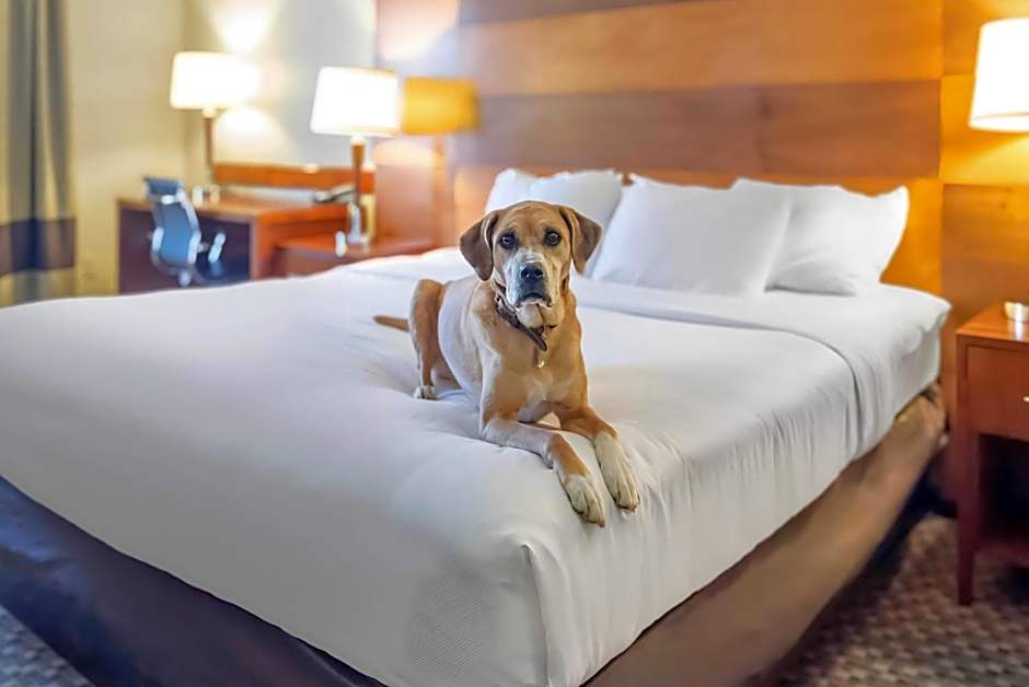 Comfort Inn & Suites Durango