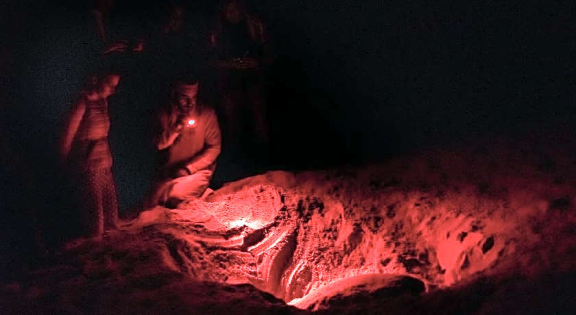 Ras Al Jinz Turtle Reserve