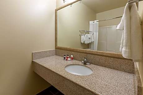 King Studio Suite - Non-Smoking