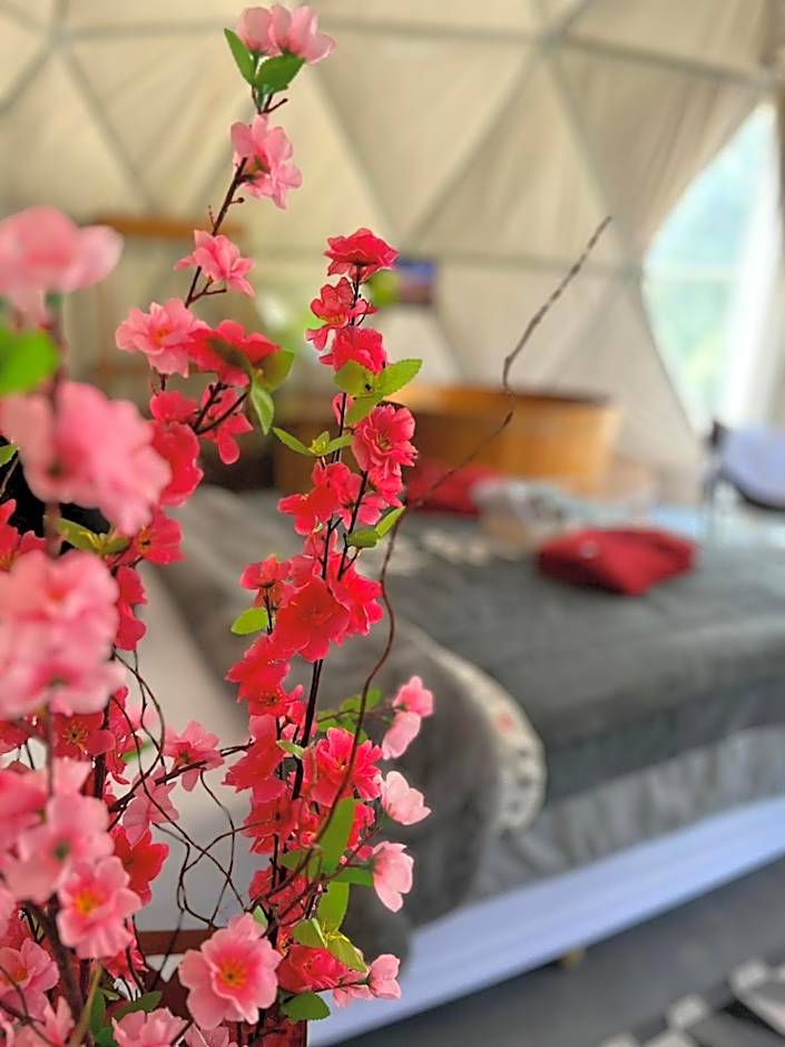 Refúgio Santa Helena - Domo Arigatô