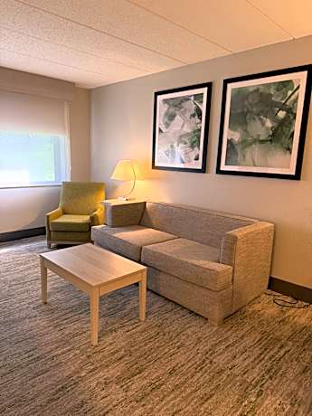 One-Bedroom Queen Suite with Sofa Bed