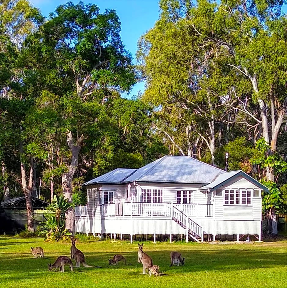 Lake Weyba Noosa Lodge & Kangaroos