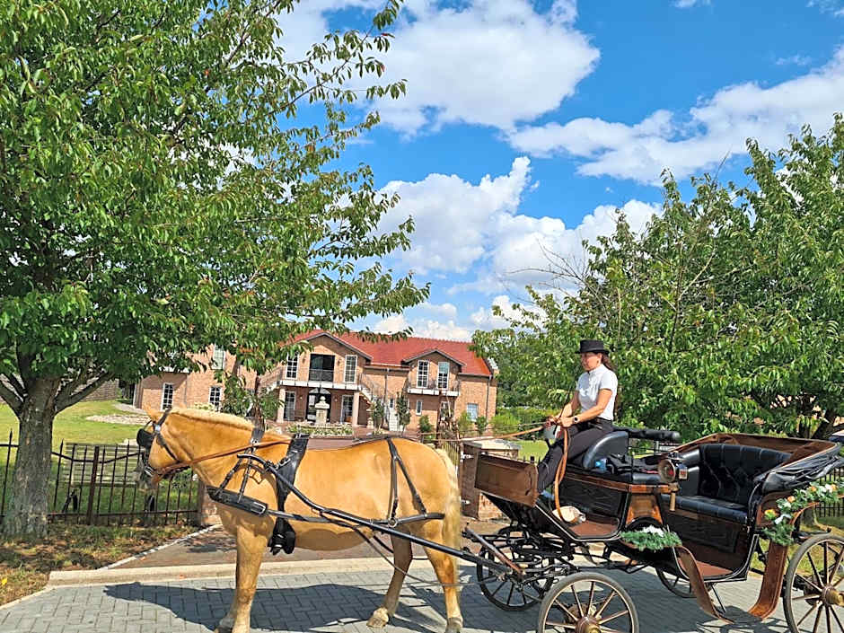 Kur-& Landhotel Borstel - Treff