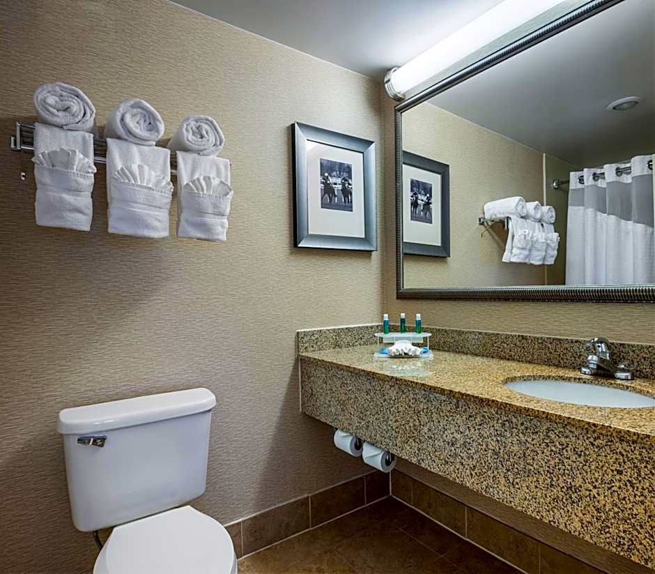 Holiday Inn Express & Suites Laurel Lakes By IHG