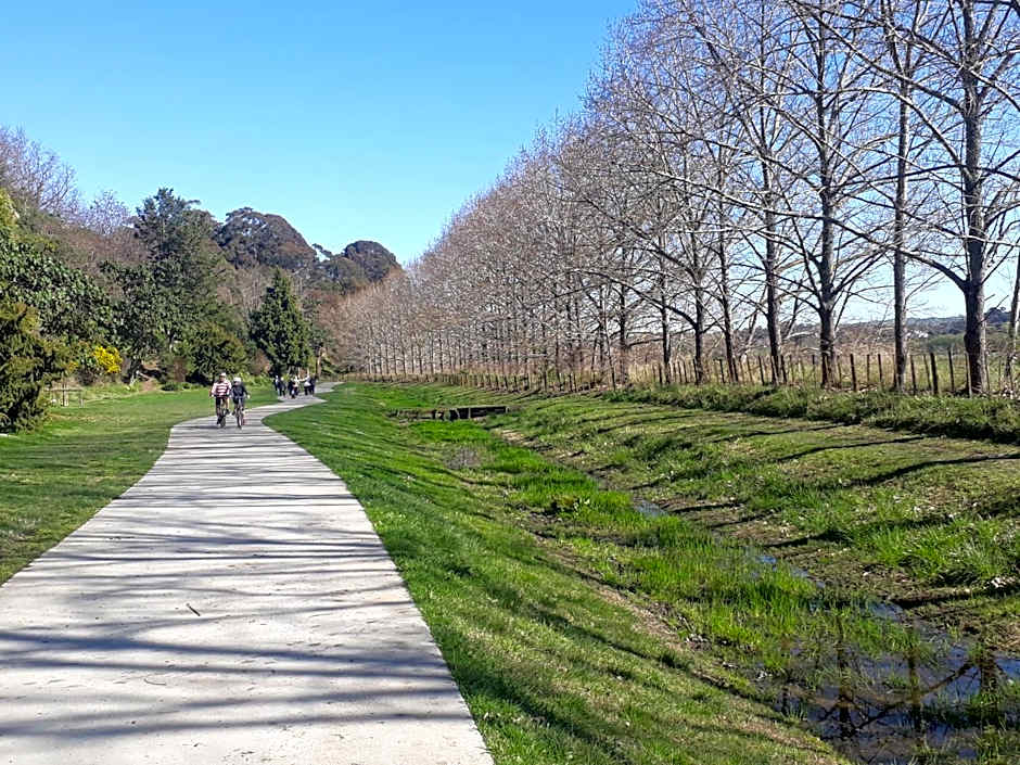 Hidden Gem in Oaklands