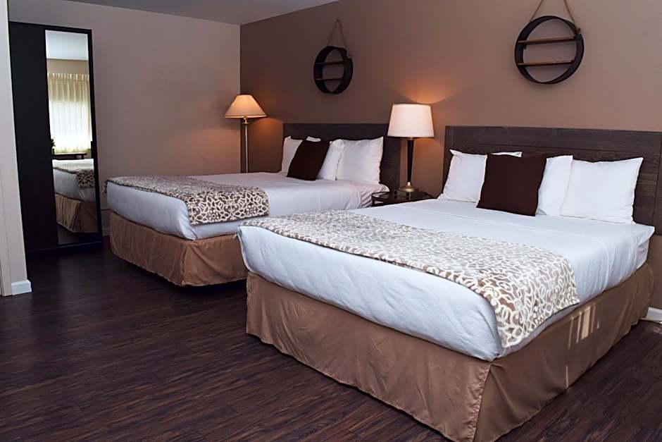 Photo 1 of 16 of Standard 2 Queen Beds