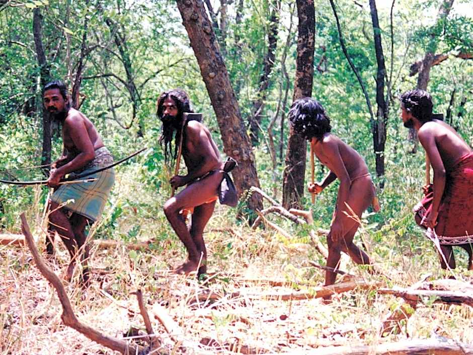 Explorer by Eco Team - Dambana