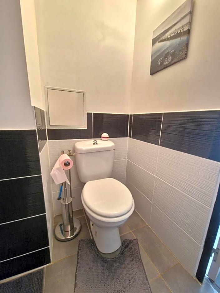 Le camélia de la mazarié