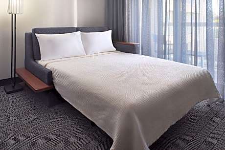 Room, 1 King Bed with Sofa bed (1 King Bed and 1 Double Sofa Bed)