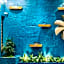 Polo Floatel Kolkata
