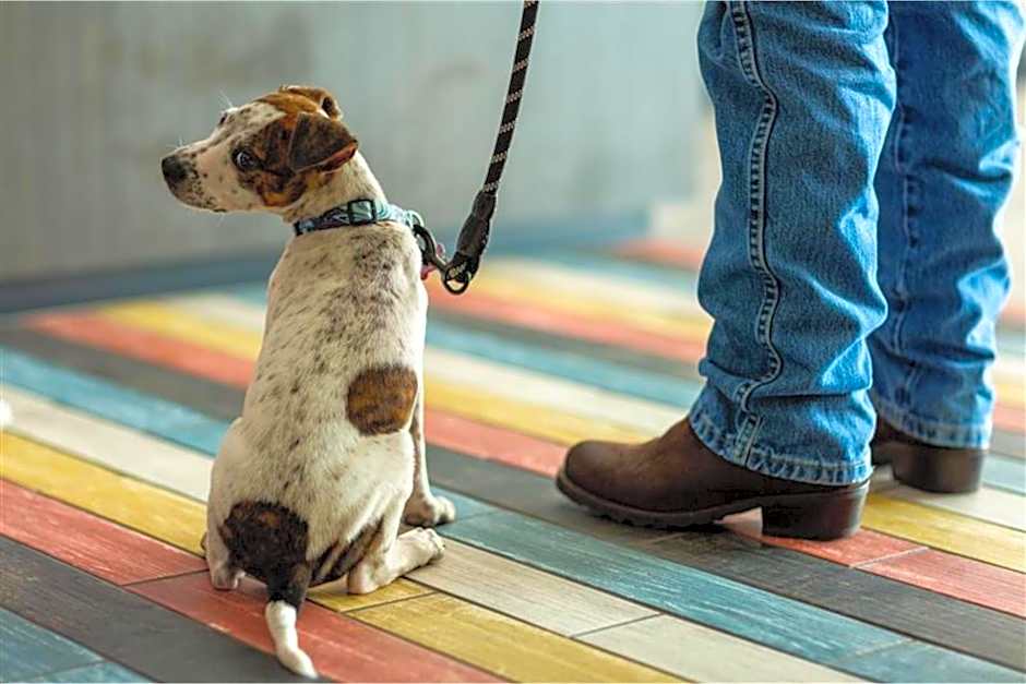 Studio 6-Richmond, VA - I-64 West