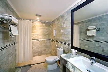 Twin Standard Room with Garden View