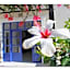 Paradise Apartments Studios