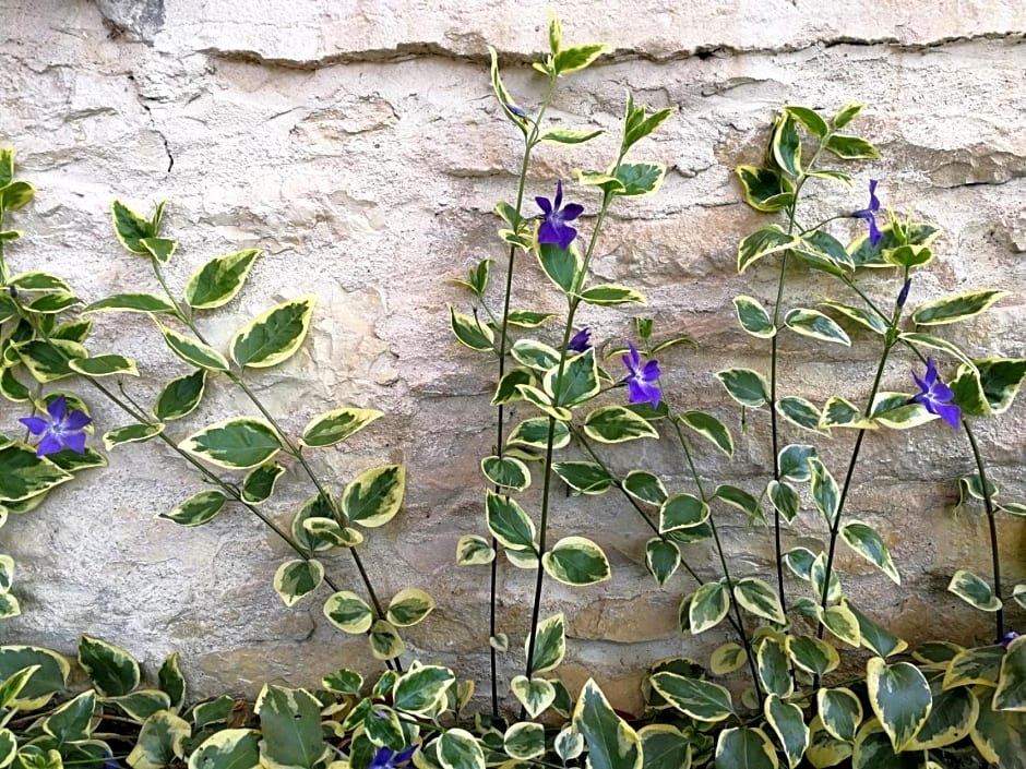 La Malinette B&B, calme et authenticité