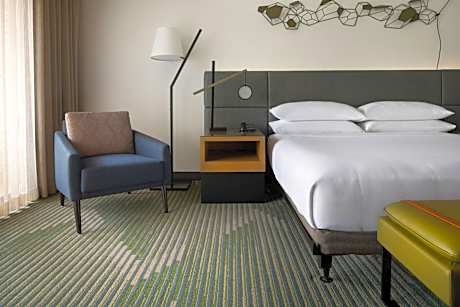 King Room and Adapted Tub - Mobility Accessible