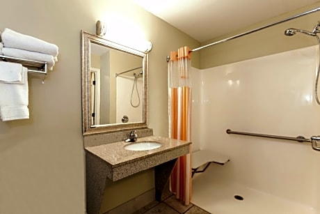 1 King Bed Deluxe Accessible Room Non-Smoking