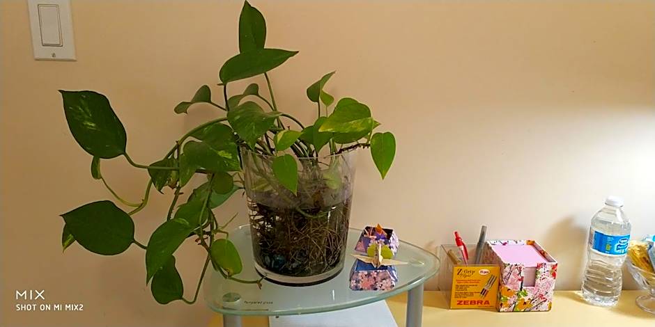 Helen's House / Close to Skytrain and Airport