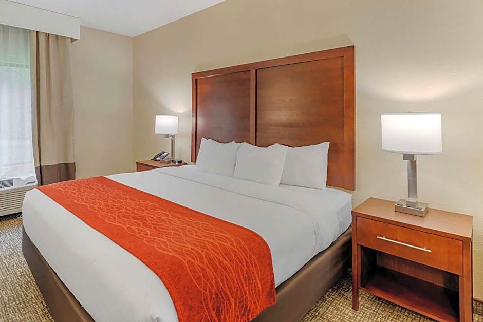 Comfort Inn & Suites Canton Riverstone Area
