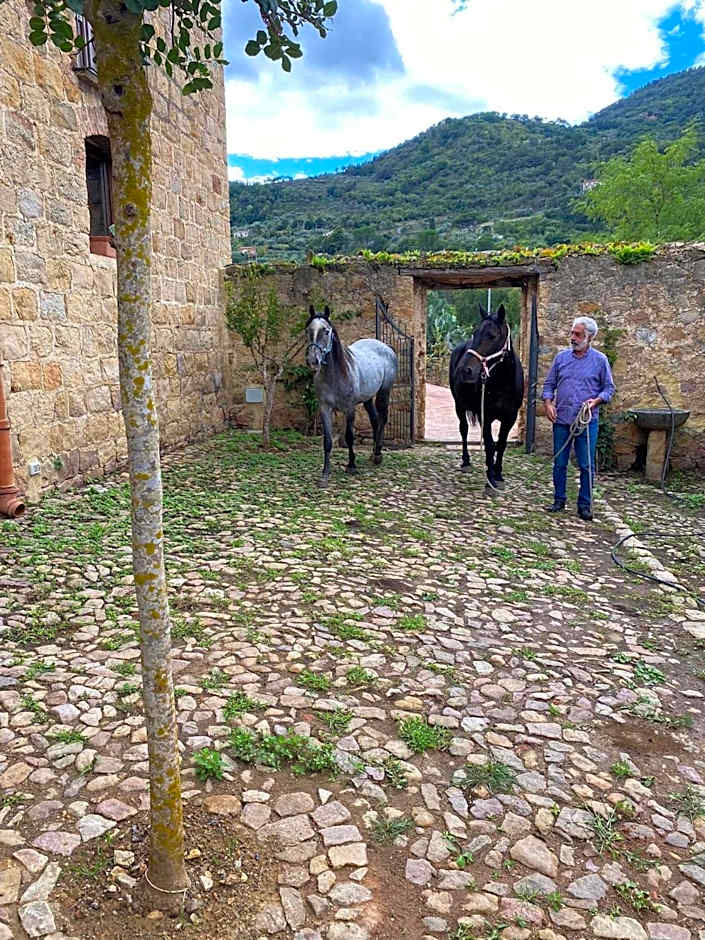 Antico Borgo Buonanotte