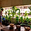 UdonBackpackers Beds and cafe