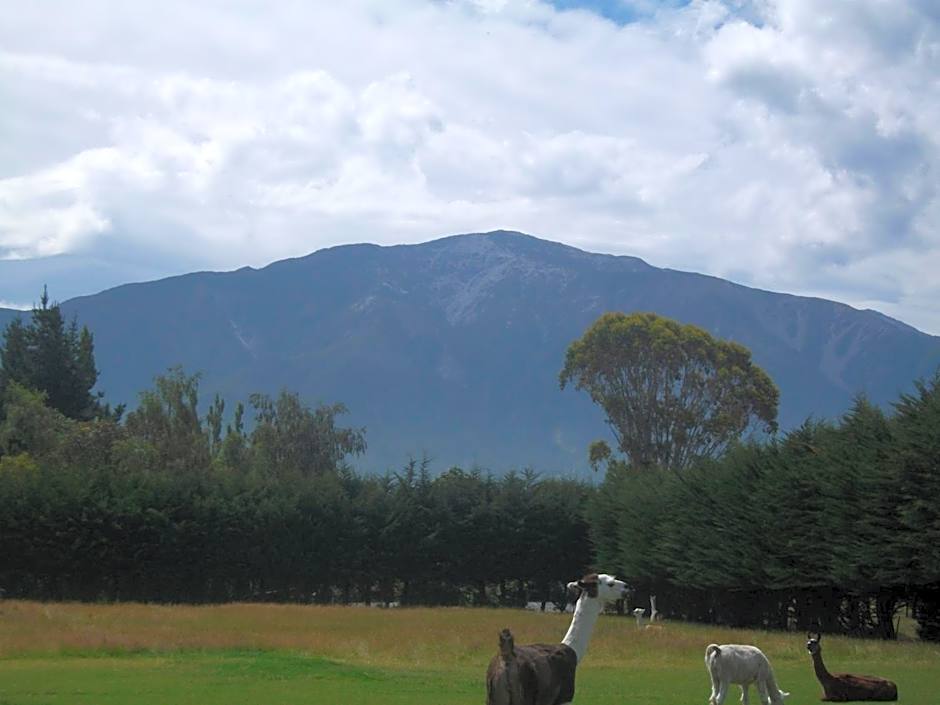Wacky Stays - unique farm-stay glamping rentals, FREE animal feeding tours