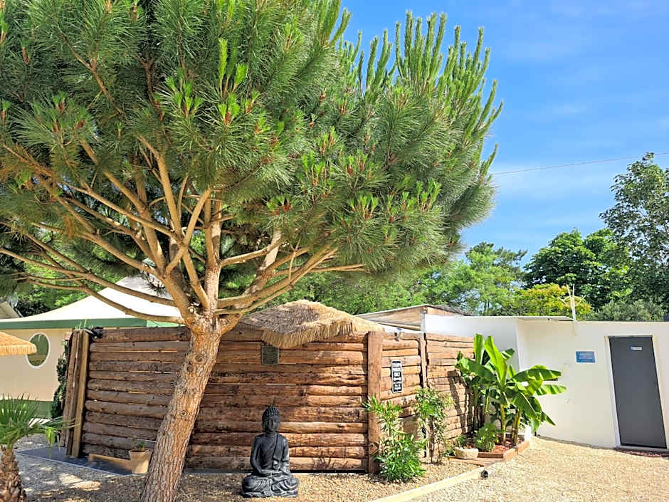 Gîte insolite vue sur le ciel étoilé , cuisine, salle d eau, 2 chambres , proche du zoo de La Palmyre